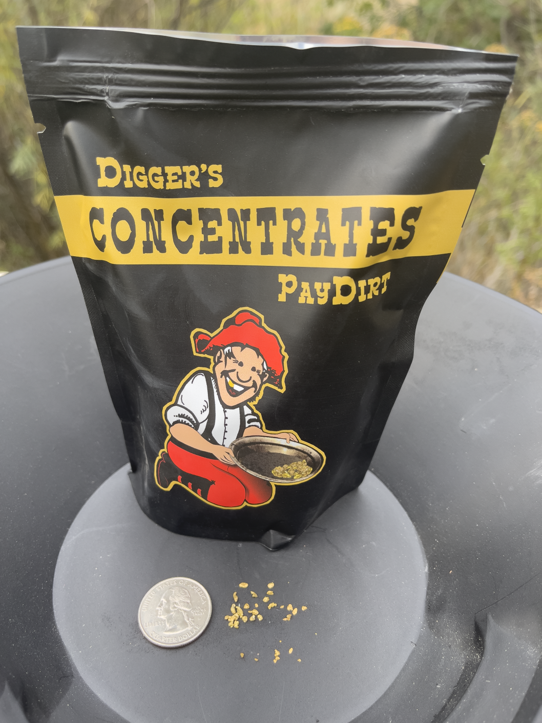DirtFest - VIP GOLD Package